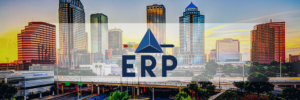 Microsoft ERP solutions